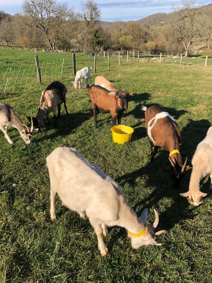 Chambre Familiale A La Ferme Montesquieu-Avantes المظهر الخارجي الصورة